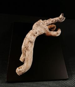 __hingabe__efeu  gekalkt_20x23 cm__30 €.jpg