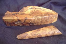 -kuli eiche wurzel.JPG