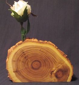 -vase akazie 24x15cm hoch.JPG