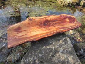 -schale zwetschge 56x21cm.JPG