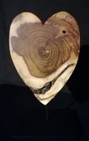 __herz__akazie_22 cm__28 €.jpg