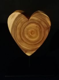 __herz__tuja_10 cm__12 €.jpg