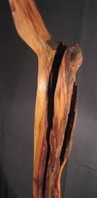 -neubeginn detail.jpg.JPG